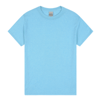 5000 Gildan Heavy Cotton Adult T-Shirt - Sky