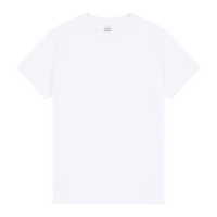 5000 Gildan Heavy Cotton Adult T-Shirt - White