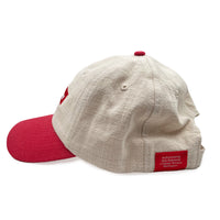 Made to order Albany Hemp Cap (6 panel) MTOA6PDCH Headwear branded merchandise nz