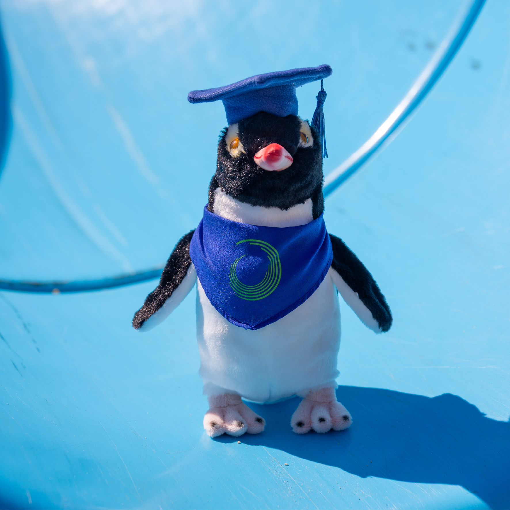 Otago Polytechnic | Penguin - Custom Clothing | T Shirt Printing | Embroidery | Screen Printing | Print Room NZ