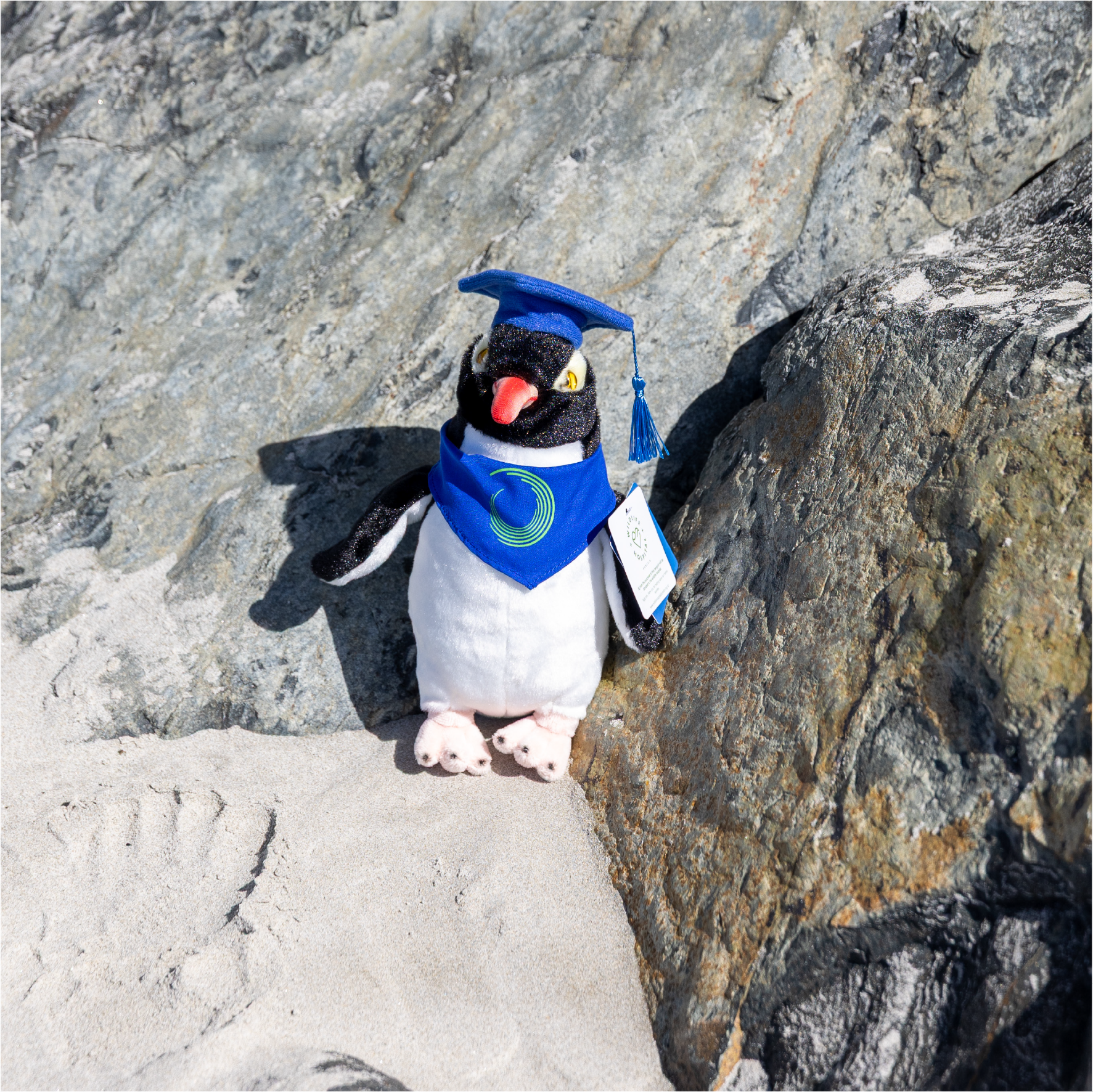 Otago Polytechnic | Penguin - Custom Clothing | T Shirt Printing | Embroidery | Screen Printing | Print Room NZ