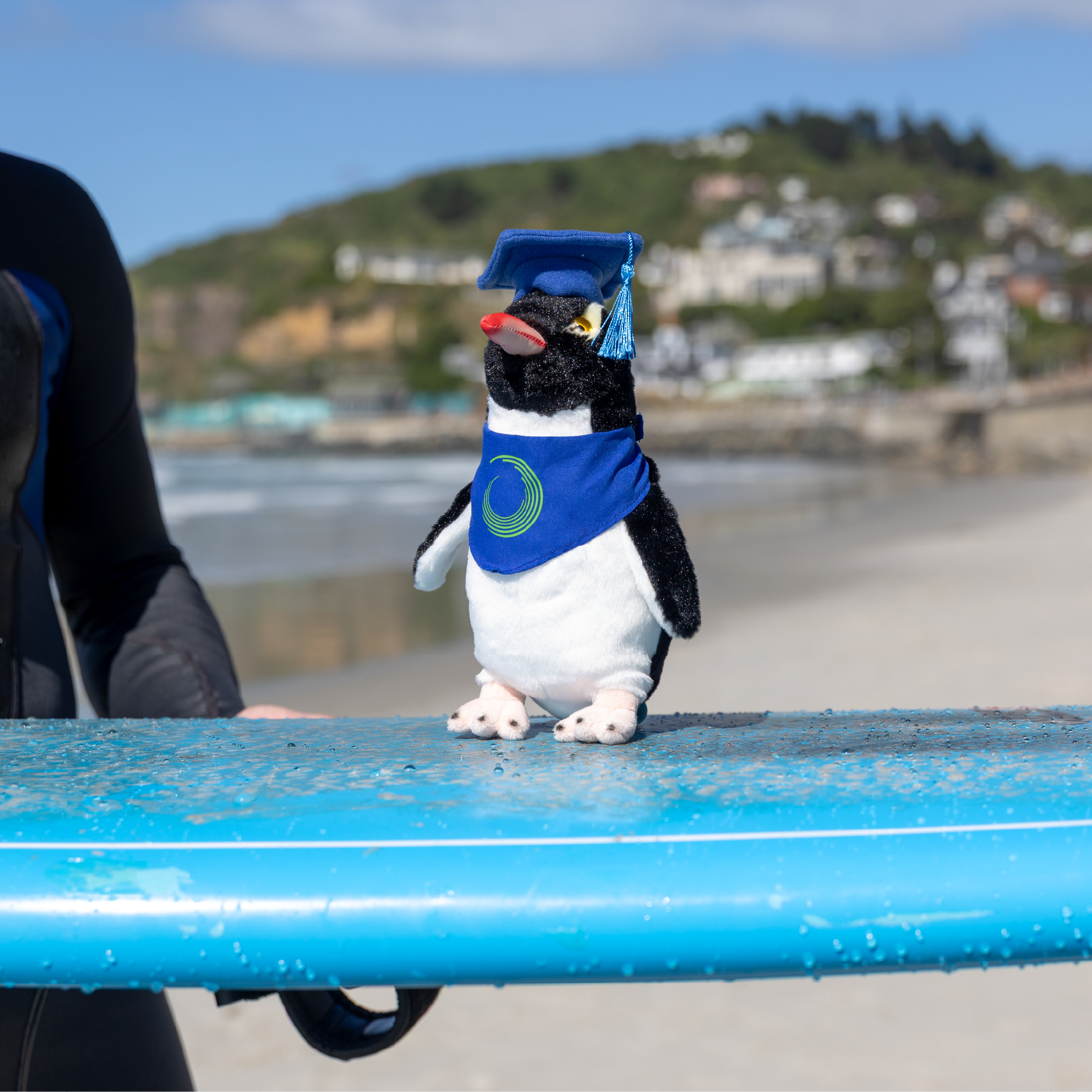 Otago Polytechnic | Penguin - Custom Clothing | T Shirt Printing | Embroidery | Screen Printing | Print Room NZ