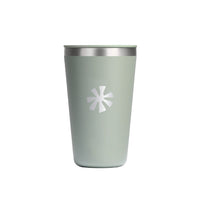 Hydroflask 16 Oz All Around Tumbler Press-In Lid  T16CPC Drinkware decorated merch nz